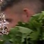 Face f_1287841_9