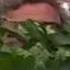 Face f_1288891_10
