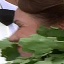 Face f_1291081_4