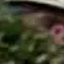 Face f_1293001_13