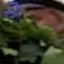 Face f_1293121_12
