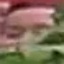 Face f_1293901_15