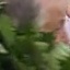 Face f_1293961_15