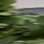 Face f_1294471_13