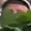 Face f_1294681_17