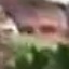 Face f_1294711_16