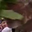 Face f_1295191_11