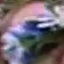 Face f_1295581_8