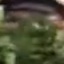 Face f_1297531_4