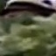 Face f_1298881_9