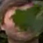Face f_1299541_7