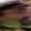 Face f_1302901_10