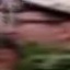 Face f_1303141_2