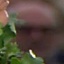 Face f_1305361_1