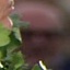 Face f_1305421_10