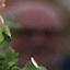 Face f_1305451_1