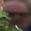 Face f_1305481_1
