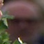 Face f_1305541_0