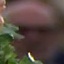 Face f_1305601_14