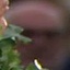 Face f_1305631_8