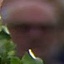 Face f_1305661_1