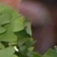Face f_1305721_22