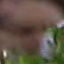 Face f_1310071_47