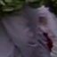 Face f_1310311_4