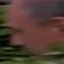 Face f_1316641_1