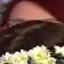 Face f_1317061_27