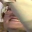Face f_1317121_20