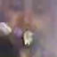 Face f_1317211_30