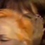 Face f_1317241_38