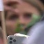 Face f_1320301_4