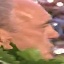 Face f_1322491_34
