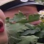 Face f_1322881_4
