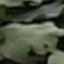 Face f_1322971_9