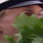 Face f_1323031_8
