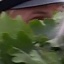 Face f_1323061_8