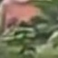 Face f_1323331_10