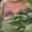 Face f_1323361_8