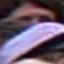 Face f_1327411_226