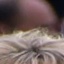 Face f_1331401_13