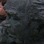 Face f_1331821_14